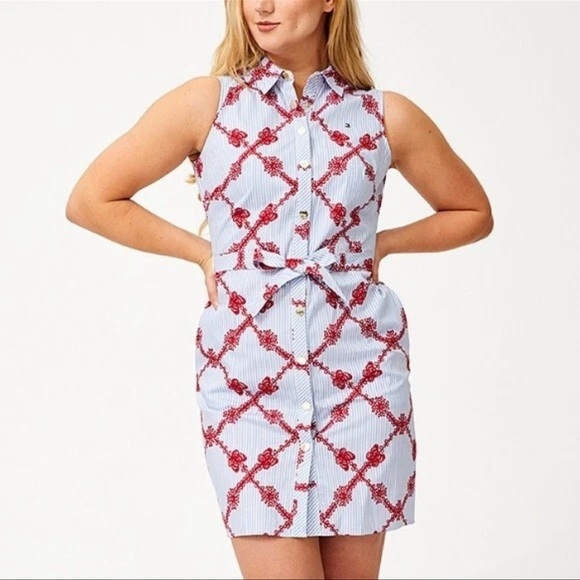 Tommy Hilfiger Cotton Shirt Dress Blue White Stripe Red Floral Size 14 Fall Dres - Picture 1 of 6